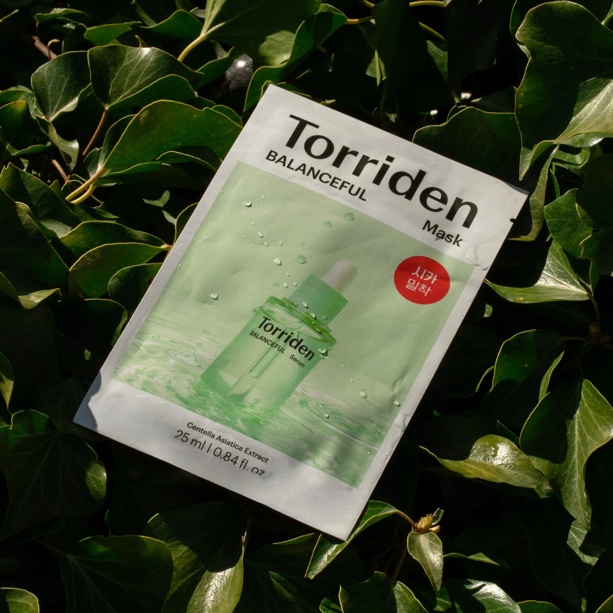 Image du produit 10